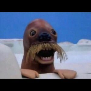 Meet your Posher, Jackson